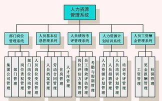 人力資源管理信息系統(tǒng) 企業(yè)數(shù)字化管理的核心引擎